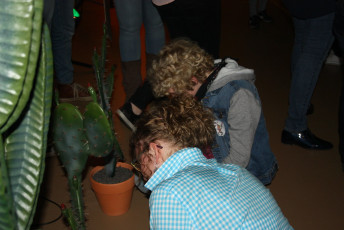 2016-04-02_wild wild....Excelsior (12)