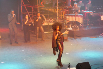 2016-12-17_Excelsior_History-of-Pop1_JN (3)