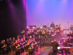 2018-02-10_Musical Highlights Excelsior Winterswijk_PL (53)