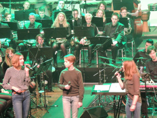 2018-02-10_Musical Highlights Excelsior Winterswijk_PL (28)