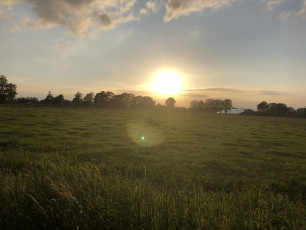 2019-05-26_Excelsior _Jeugkamp__RonaldWesthoff (1)