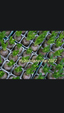 1c4149ff-8d04-44de-9590-e9fc357b2acb