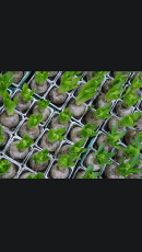 c05bdfc5-ede0-4671-a65a-8d8dddc52fa9